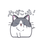 がんばった？ ねこちゃん（個別スタンプ：7）