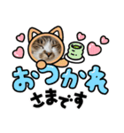 にゃんみエブリデイ（個別スタンプ：2）