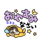にゃんみエブリデイ（個別スタンプ：4）