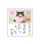 にゃんみエブリデイ（個別スタンプ：19）