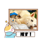 にゃんみエブリデイ（個別スタンプ：20）