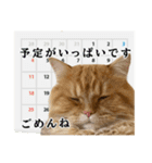 レオ君のおもしろスタンプ（個別スタンプ：18）