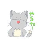 いつものネコとたまにトマト2（個別スタンプ：2）