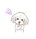 My Dog Stickers-おんぷ＆ぽっぷ-（個別スタンプ：14）