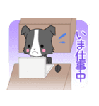 ちびボーダー14【いま何してる？】（個別スタンプ：7）