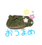 かえるのまめです（個別スタンプ：4）