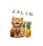 夏を感じる子猫のスタンプ（個別スタンプ：11）