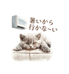 夏を感じる子猫のスタンプ（個別スタンプ：28）