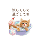 夏を感じる子猫のスタンプ（個別スタンプ：34）