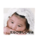 CIMBA1226（個別スタンプ：34）