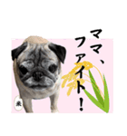 ぼく、コメ太郎！（個別スタンプ：2）