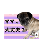 ぼく、コメ太郎！（個別スタンプ：4）