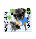 ぼく、コメ太郎！（個別スタンプ：9）