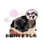 ぼく、コメ太郎！（個別スタンプ：11）