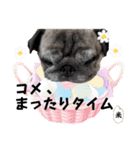ぼく、コメ太郎！（個別スタンプ：19）