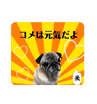 ぼく、コメ太郎！（個別スタンプ：20）