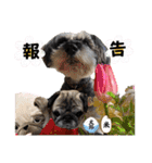 ぼく、コメ太郎！（個別スタンプ：24）