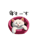 猫さんの＜近況報告＞（個別スタンプ：4）