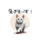 猫さんの＜近況報告＞（個別スタンプ：9）