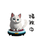 猫さんの＜近況報告＞（個別スタンプ：20）