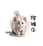 猫さんの＜近況報告＞（個別スタンプ：31）