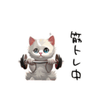 猫さんの＜近況報告＞（個別スタンプ：36）