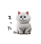 猫さんの＜近況報告＞（個別スタンプ：39）