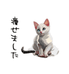 猫さんの＜近況報告＞（個別スタンプ：40）