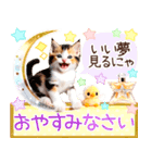 にゃ！猫語の三毛猫こねこちゃん 365days（個別スタンプ：7）