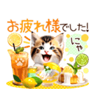 にゃ！猫語の三毛猫こねこちゃん 365days（個別スタンプ：17）