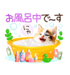 にゃ！猫語の三毛猫こねこちゃん 365days（個別スタンプ：25）