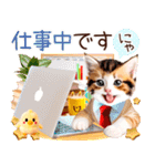 にゃ！猫語の三毛猫こねこちゃん 365days（個別スタンプ：27）