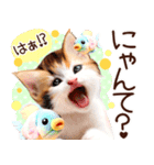 にゃ！猫語の三毛猫こねこちゃん 365days（個別スタンプ：30）