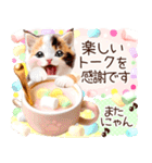 にゃ！猫語の三毛猫こねこちゃん 365days（個別スタンプ：38）