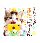 にゃ！猫語の三毛猫こねこちゃん 365days（個別スタンプ：39）