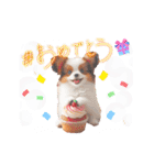 かわいいパピヨンの犬スタンプ（個別スタンプ：11）