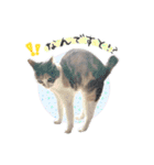 いろいろちぃstamps（個別スタンプ：9）