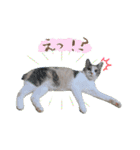 いろいろちぃstamps（個別スタンプ：10）