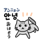 可愛い猫と韓国語（個別スタンプ：2）