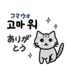 可愛い猫と韓国語（個別スタンプ：3）