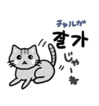 可愛い猫と韓国語（個別スタンプ：25）