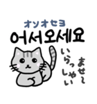 可愛い猫と韓国語（個別スタンプ：33）