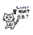 可愛い猫と韓国語（個別スタンプ：36）