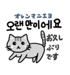 可愛い猫と韓国語（個別スタンプ：38）