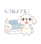 かんぺき！ペキニーくん（個別スタンプ：2）