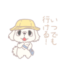 かんぺき！ペキニーくん（個別スタンプ：4）