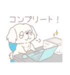 かんぺき！ペキニーくん（個別スタンプ：6）