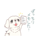 かんぺき！ペキニーくん（個別スタンプ：14）