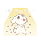 かんぺき！ペキニーくん（個別スタンプ：20）