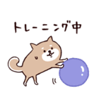 ◯SHIBAINUさん◯今なにしてる？（個別スタンプ：13）